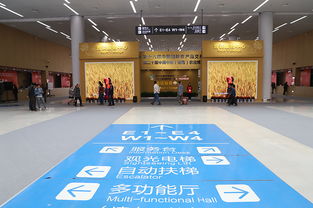 第十六届中国国际农产品交易会暨第二十届中国中部（湖南）农业博览会 湖南科技助力农业现代化