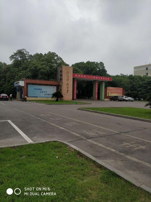 湖南科技大学“外甥上大学”照片引热议 温情瞬间背后的故事